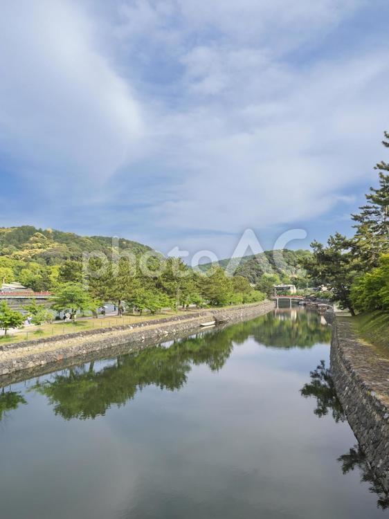 初夏の川 初夏,河合,水の写真素材