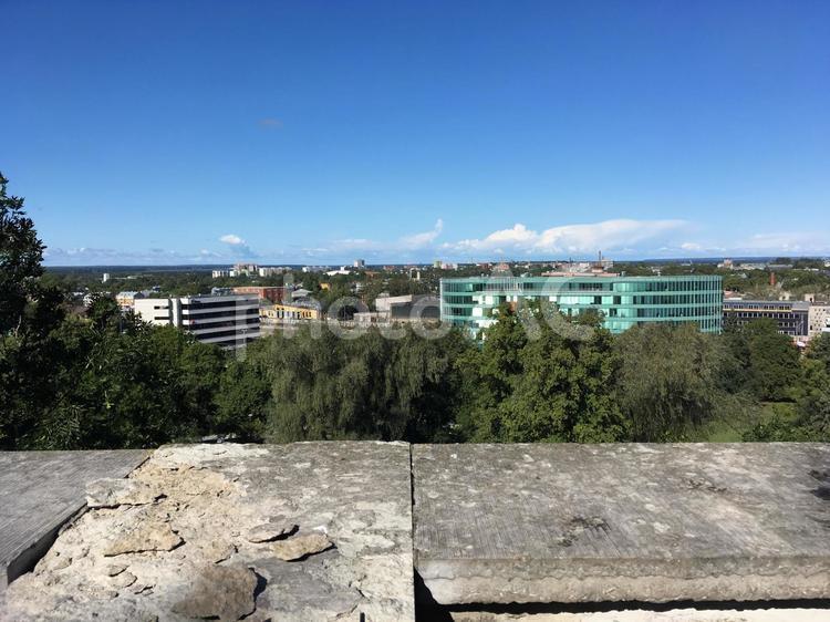 タリン_街／エストニア あおぞら,うつくしい,きれいの写真素材