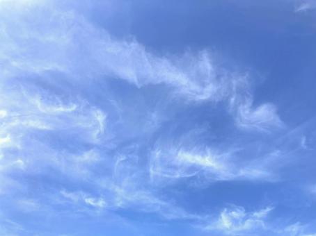 青空に広がる煙みたいな白い雲 青空に広がる煙みたいな白い雲の写真