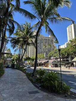 resort street 南国,街並み,streetの写真素材