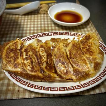 味噌風味の焼き餃子 焼き餃子,餃子,旦那飯の写真素材