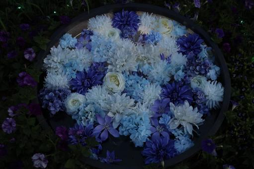 花手水 花手水の写真