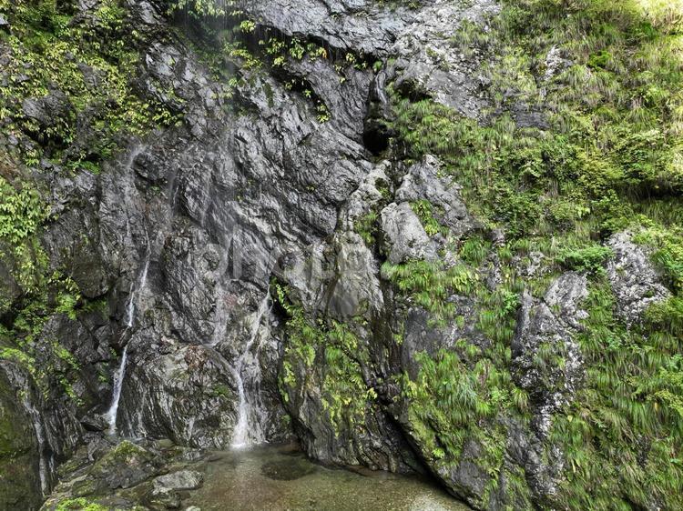 愛媛県西条市　大樽の滝 大樽の滝,七色の滝,滝の写真素材