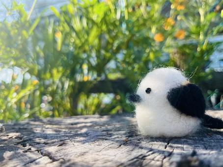 Nature and the Long-tailed Tit, JPG