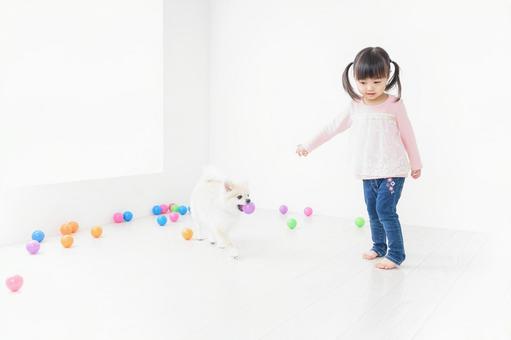 犬と一緒に遊ぶ子ども 犬と一緒に遊ぶ子ども 早期教育,子,走り回るの写真素材