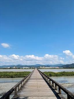 夏の大井川に架かる蓬莱橋 蓬莱橋,大井川,橋梁の写真素材