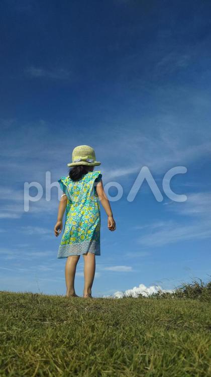 草原に立って青空を見上げる女の子の後ろ姿 女の子,少女,見上げるの写真素材