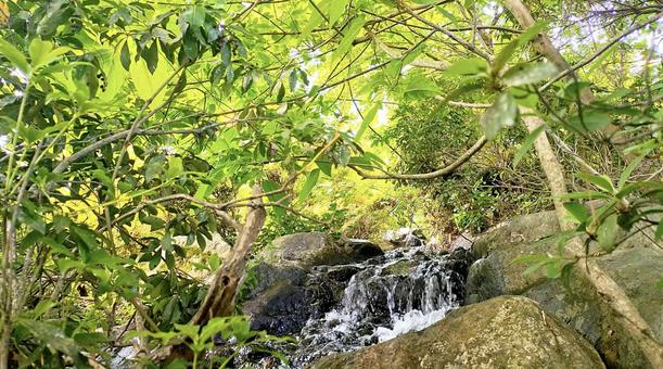 緑の小滝 緑の小滝 せせらぎ,小川,滝の写真素材