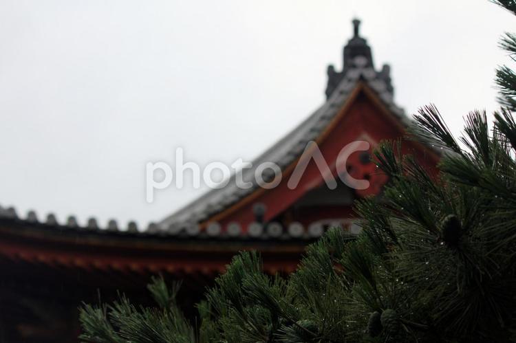 雨上がりの京都の街並み 京都,風景,寺の写真素材