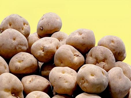 野菜・ジャガイモ ジャガイモ,ポテト,野菜の写真素材