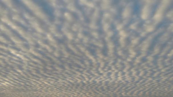 うろこ雲 うろこ雲の写真