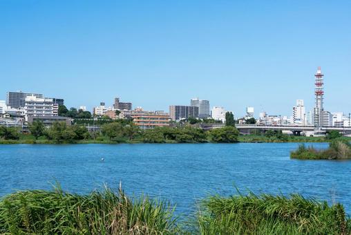 千波湖と市街地の風景(茨城県水戸市) 千波湖と市街地の風景(茨城県水戸市) 茨城県,水戸市,千波湖の写真素材
