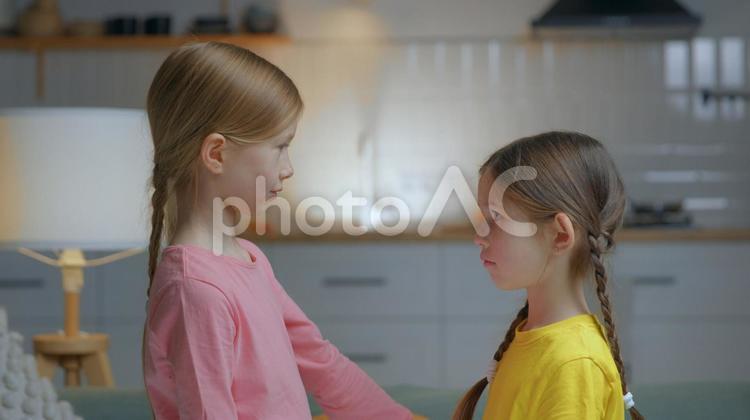 向かい合って見つめる姉妹の横顔 姉妹,女の子,女児の写真素材