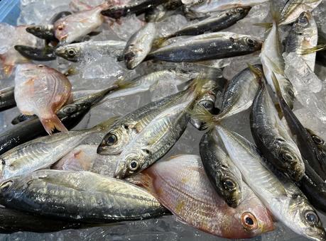 おさかな天国 魚市場 おさかな天国 魚市場 魚,市場,タイの写真素材