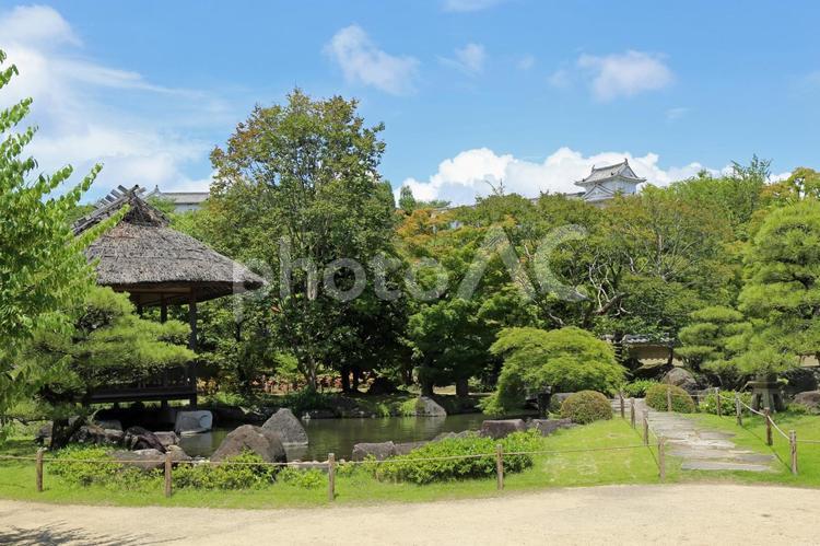 初夏の好古園の風景 初夏,夏,好古園の写真素材
