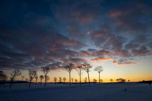 日の出の空に染まる広大な冬の牧場 日の出,雪原,牧場の写真素材