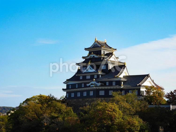 夕方の岡山城天守閣 岡山城,烏城,天守閣の写真素材