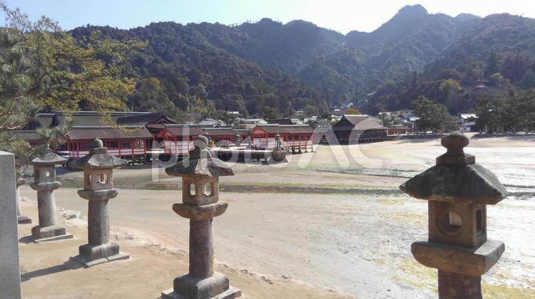 石灯籠と本殿 厳島神社,本殿,大鳥居の写真素材