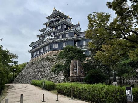 岡山城 岡山城の写真