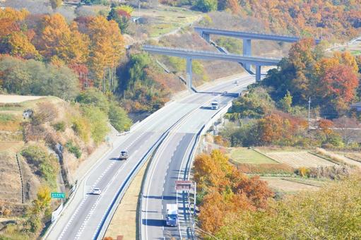 秋の高速道路 高速道路,トラック,道路の写真素材