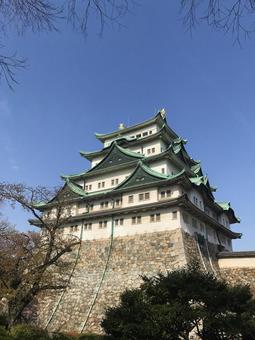 晴天に聳え立つ名古屋城 晴天に聳え立つ名古屋城 名古屋城,城,観光地の写真素材
