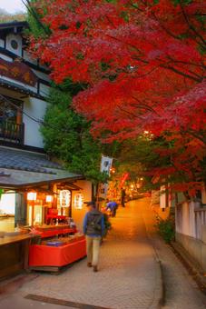 秋の深大寺参道 深大寺,調布市,東京都の写真素材