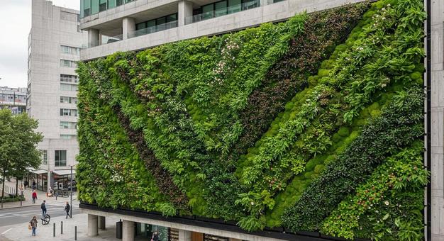現代都市環境 の緑化 リビングウォール 現代都市環境 の緑化 リビングウォールの写真