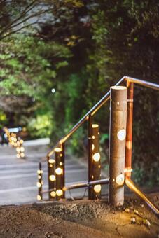 夜道を照らす竹灯り 夜景,竹灯り,竹灯籠の写真素材