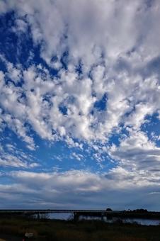 雲② 雲②の写真