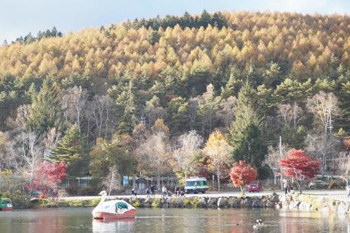 紅葉の湖 紅葉の湖の写真