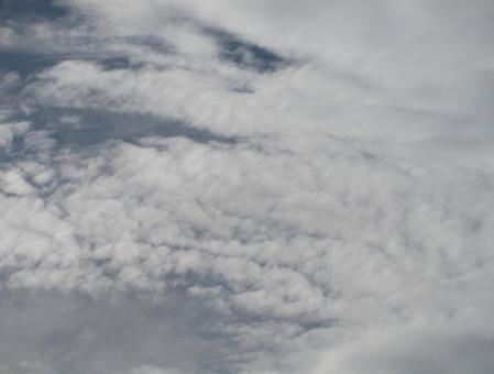 秋空うろこ雲 秋空うろこ雲の写真