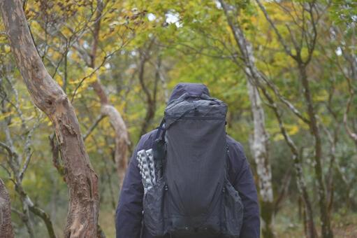 ハイキングをする男性の後ろ姿 ハイキング,自然,秋の写真素材