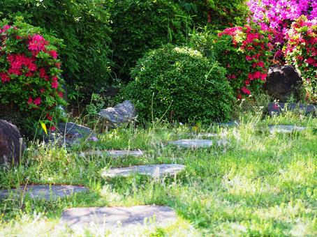 A lush early summer garden, JPG A lush early summer garden, JPG