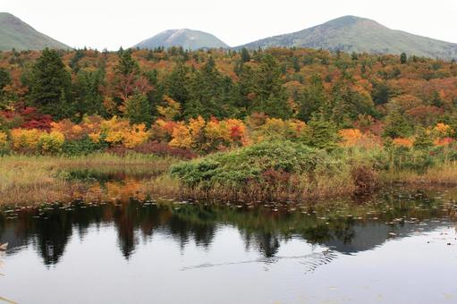 睡蓮沼＿八甲田山 紅葉,八甲田山系,青森県の写真素材