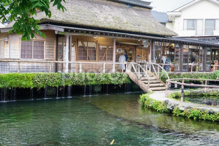 忍野八海での景色 忍野八海,水,穏やかの写真素材