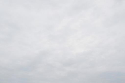 薄曇りの明るい空 薄曇りの明るい空の写真