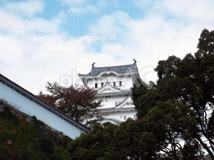 【風景写真】姫路城の風景 姫路城,世界遺産,国宝の写真素材