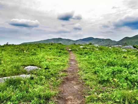 道は続くよの写真