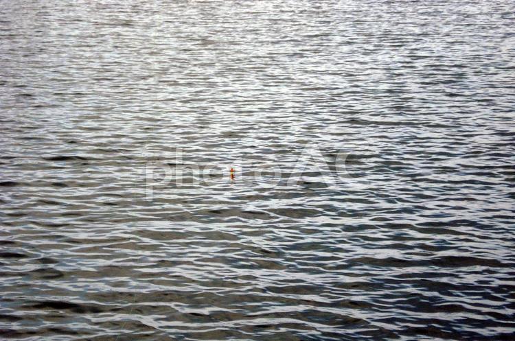 早朝の海の水面 早朝,海,海辺の写真素材