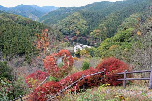 山 山の写真