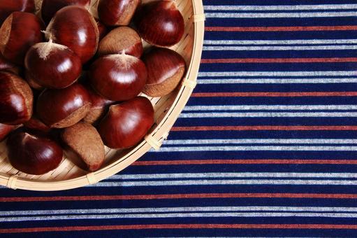 栗　1 栗,秋,fruitsの写真素材
