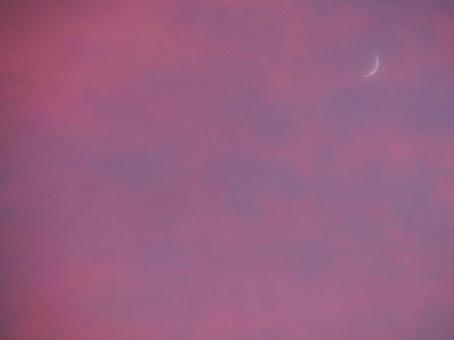 夕焼け空と三日月① 夕焼け空と三日月① 空,夕焼け,三日月の写真素材