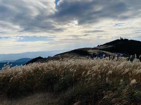 すすき 秋の風景 すすき 秋の風景の写真
