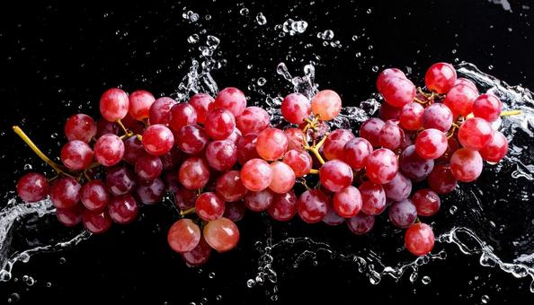 水滴が描く果皮の輝き 水滴が描く果皮の輝きの写真