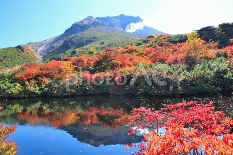 紅葉の茶臼岳（栃木那須） 紅葉,秋,山の写真素材