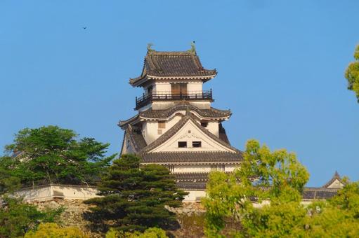 【高知県】高知城 高知城,天守閣,高知の写真素材