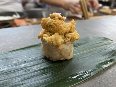 ウニの握り寿司 ウニ,握り寿司,日本食の写真素材