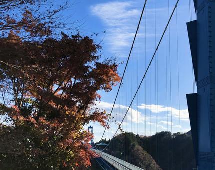 紅葉と竜神橋 紅葉と竜神橋 紅葉,もみじ,秋の写真素材