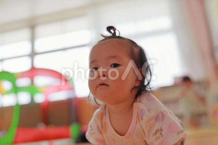 保育園でハイハイする赤ちゃん6 待機児童,赤ちゃん,保育園の写真素材