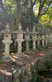 勝尾寺 勝尾寺,箕面市,大阪府の写真素材